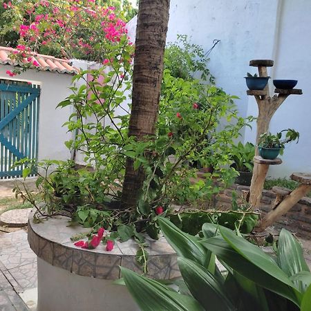 Appartement Residencial Dos Freitas à Jericoacoara Extérieur photo